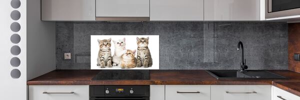 Skleněný panel do kuchynské linky Malé kočky