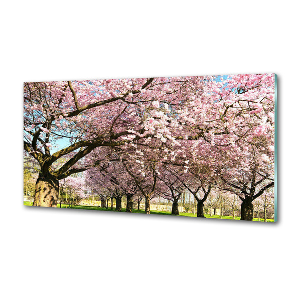 Dekorační panel sklo Višně
