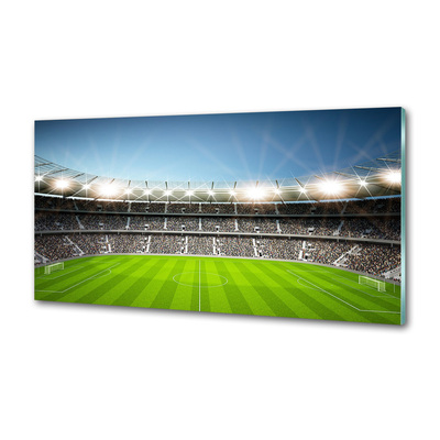 Skleněný panel do kuchyně Stadion