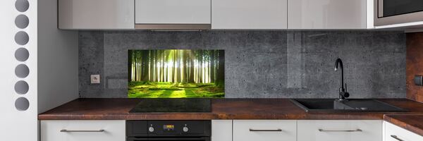 Dekorační panel sklo Les slunce