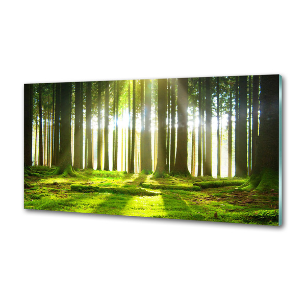 Dekorační panel sklo Les slunce
