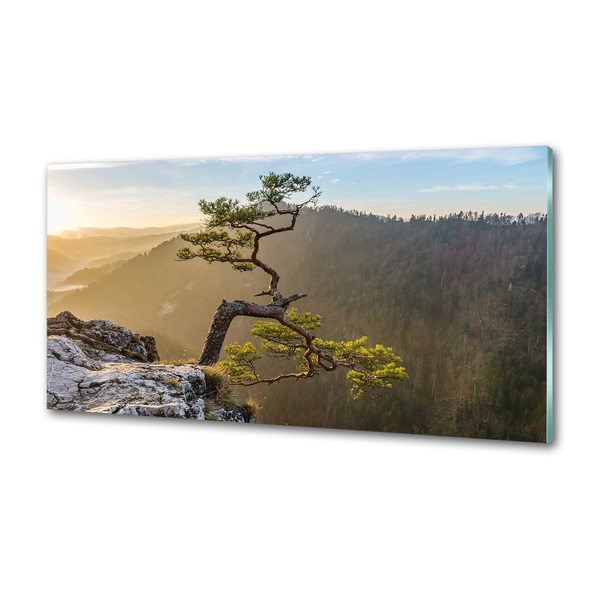 Panel do kuchyně Sokolice Pieniny