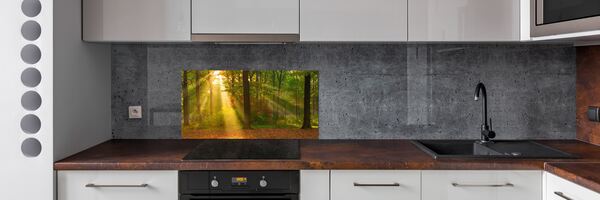 Dekorační panel sklo Les slunce