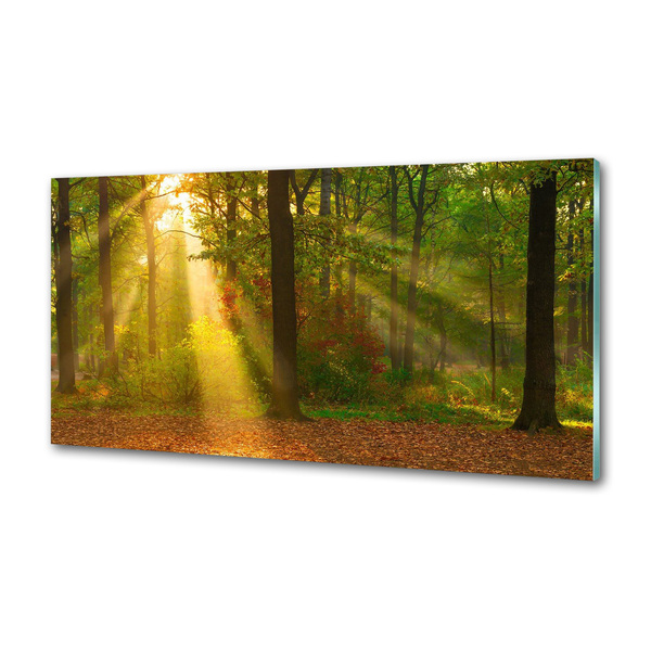 Dekorační panel sklo Les slunce