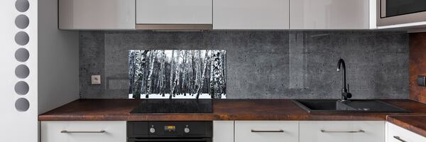 Dekorační panel sklo Břízy zima