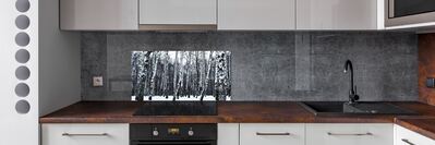 Dekorační panel sklo Břízy zima