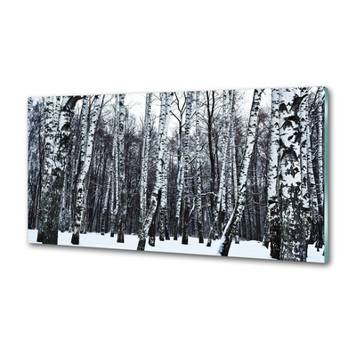 Dekorační panel sklo Břízy zima