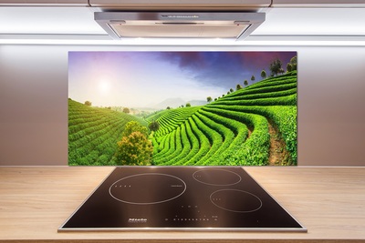 Panel do kuchyně Čajová plantáž