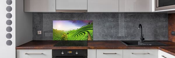 Panel do kuchyně Čajová plantáž