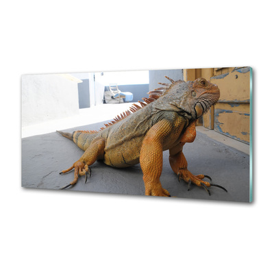 Skleněný panel do kuchyně Iguana