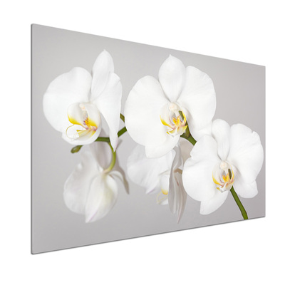 Skleněný panel do kuchynské linky Orchidej