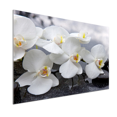 Skleněný panel do kuchynské linky Orchidej