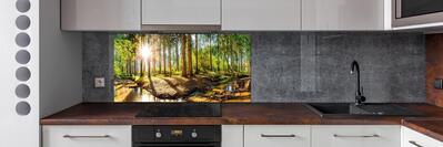 Dekorační panel sklo Panorama les