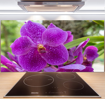Orchidej