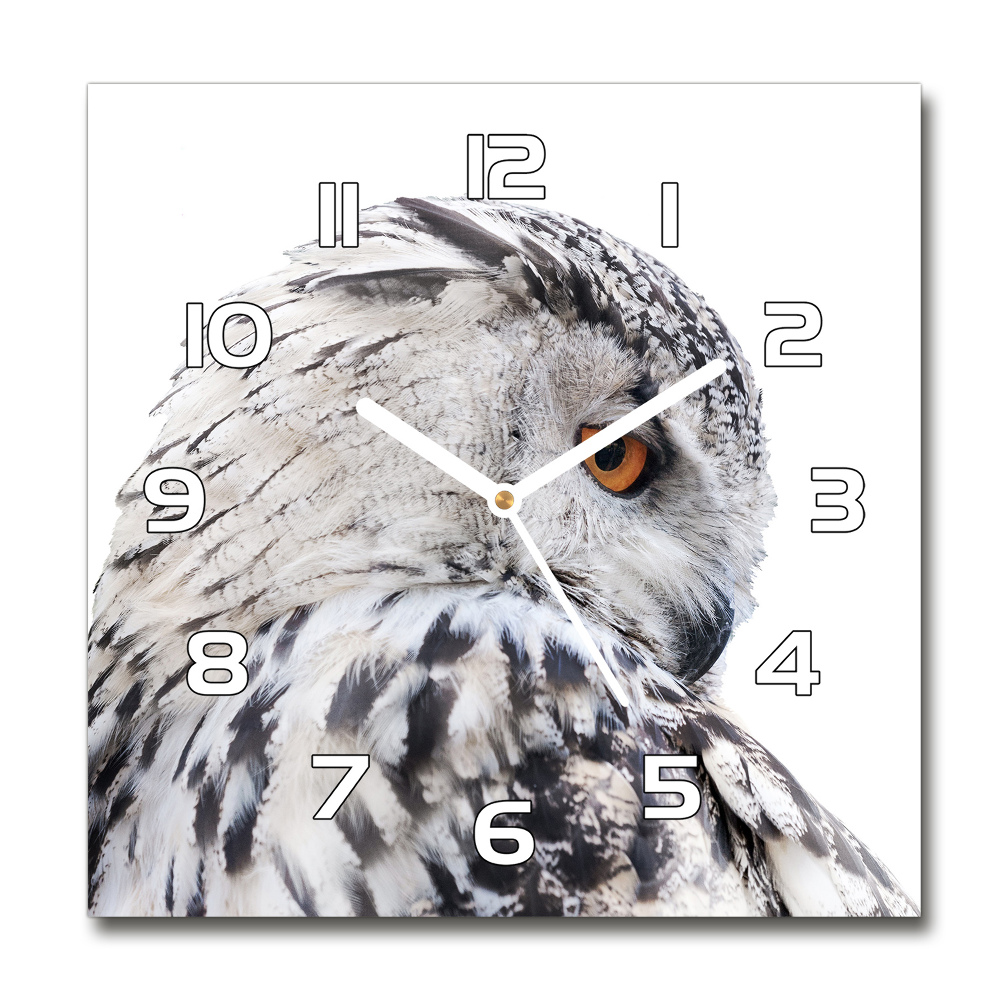 Skleněné hodiny čtverec Bílá sova