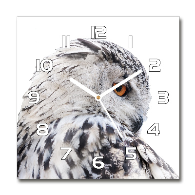 Skleněné hodiny čtverec Bílá sova