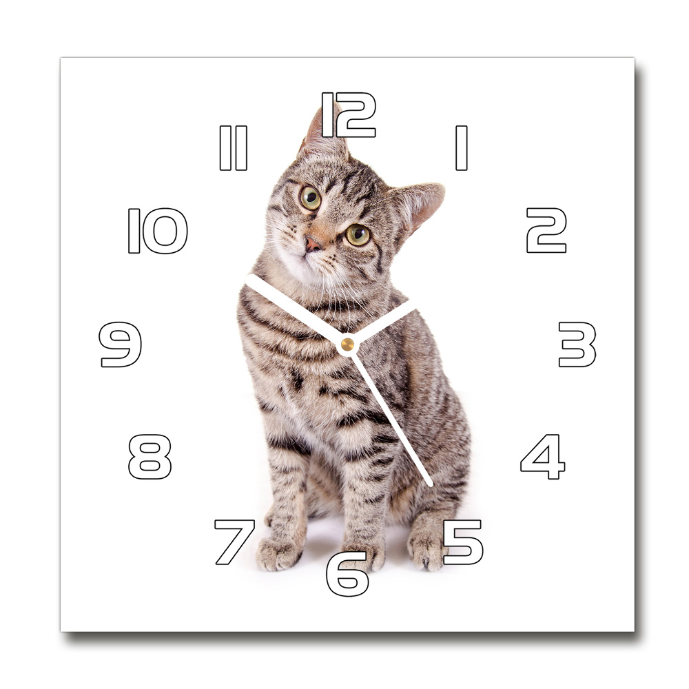 Skleněné nástěnné hodiny čtverec Kočka