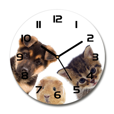 Skleněné hodiny kulaté Domácí zvířata