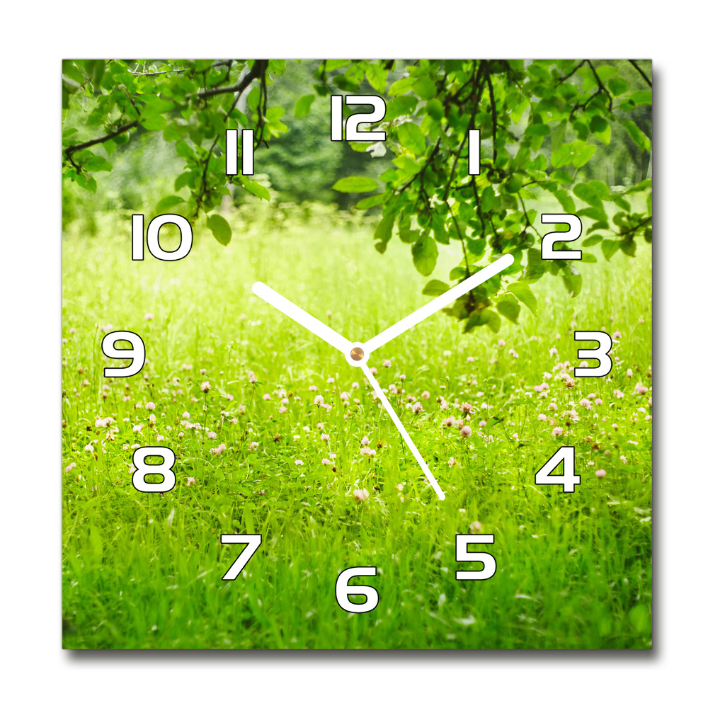 Skleněné hodiny na stěnu Zelená louka