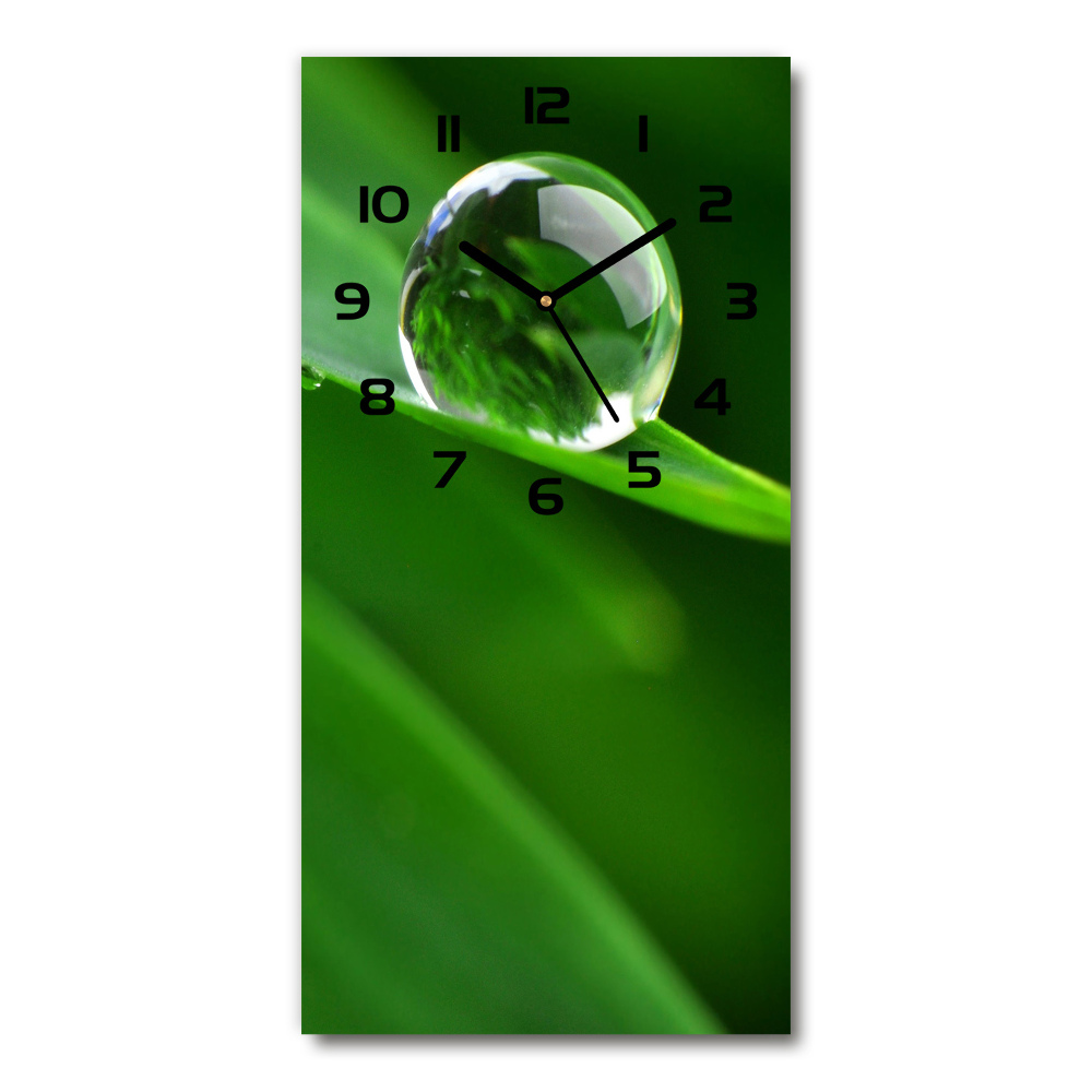 Nástěnné skleněné hodiny Stéblo trávy