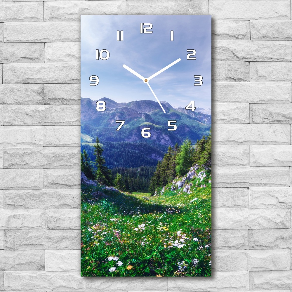 Moderní hodiny nástěnné Alpy