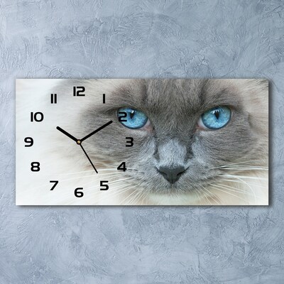 Skleněné hodiny na stěnu Kočka modré oči