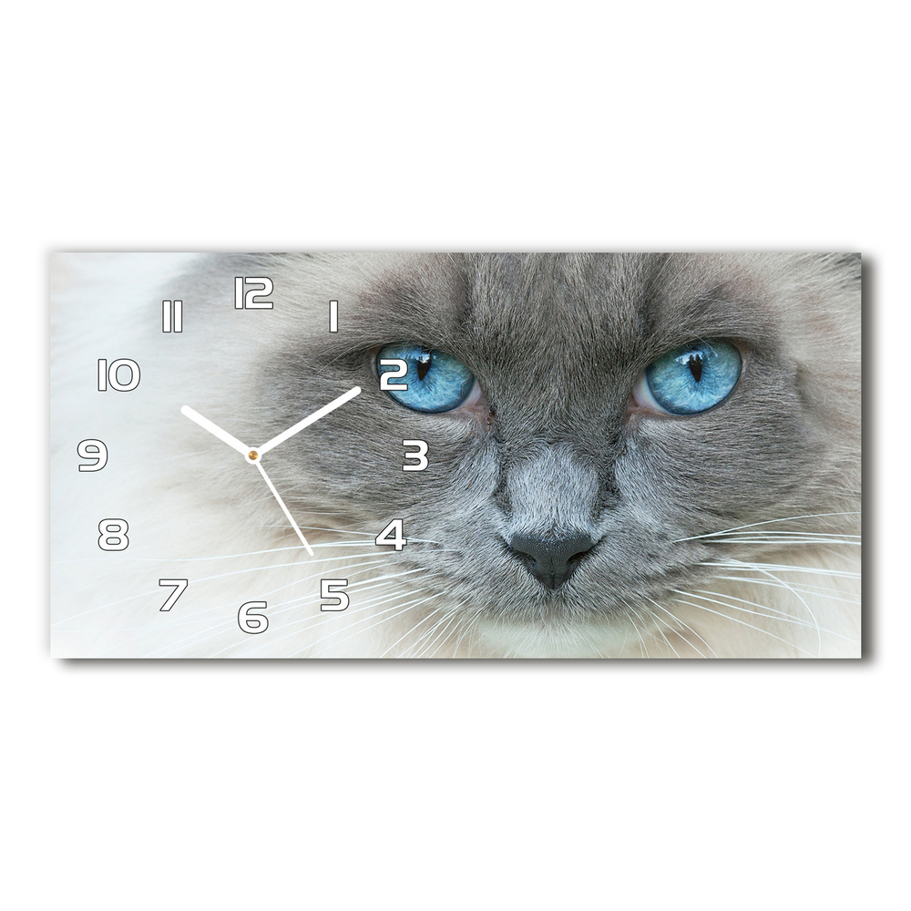 Skleněné hodiny na stěnu Kočka modré oči