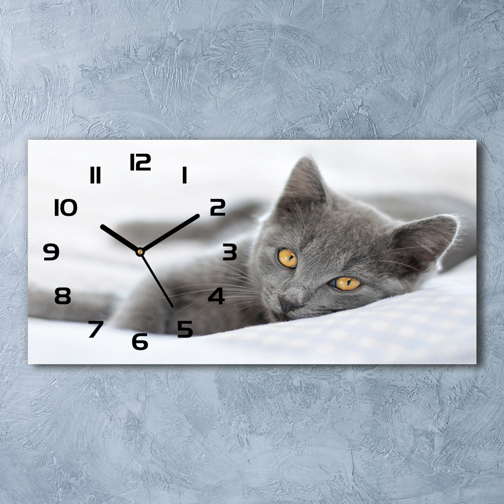 Moderní skleněné hodiny na stěnu Šedá kočka