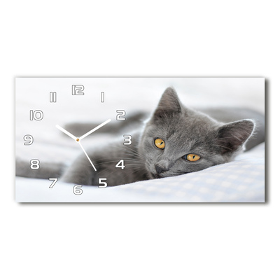 Moderní skleněné hodiny na stěnu Šedá kočka