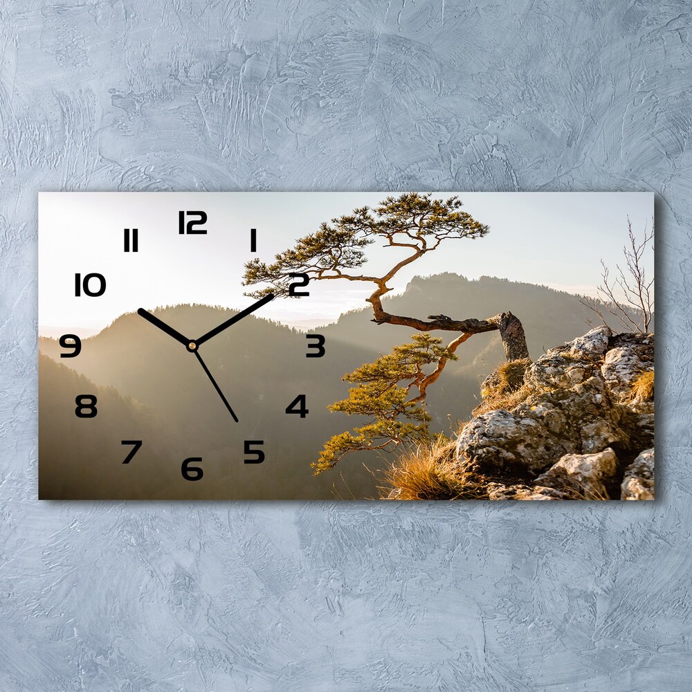 Skleněné hodiny na stěnu Sokolice Pěniny