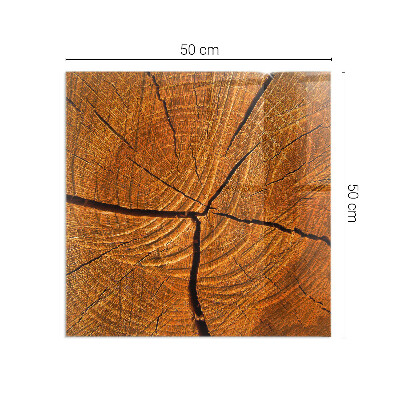 Obdélníková skleněná podložka pod kamna Dřevo v průřezu s přírodní texturou