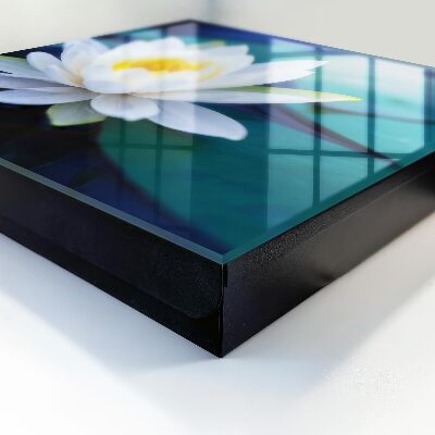 Nástěnná skříňka na klíče Leknín