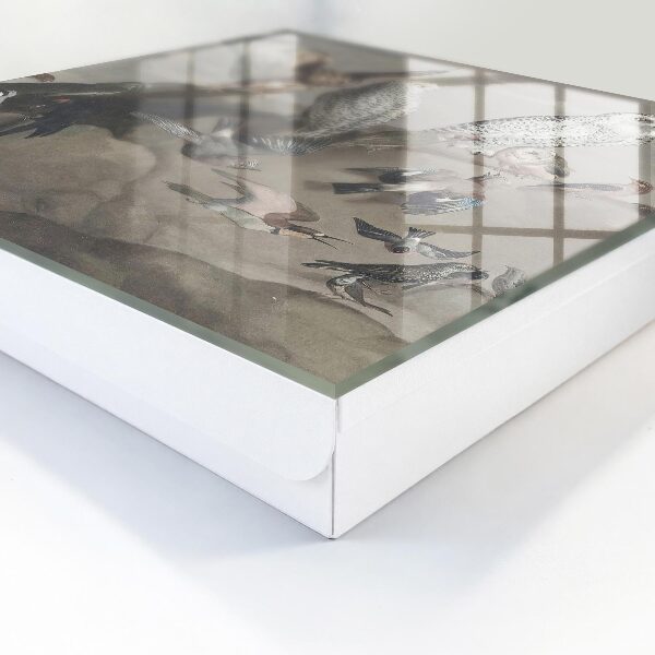 Nástěnná skříňka na klíče Ptáci na skále