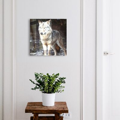 Nástěnná skříňka na klíče Vlk v lese