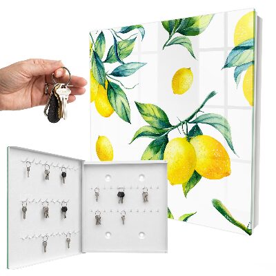 Nástěnná skříňka na klíče akvarel citrony
