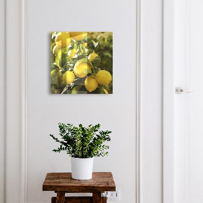Ozdobná skříňka na klíče Šťavnatá svěžest