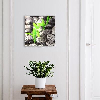 Nástěnná skříňka na klíče Zelená příroda