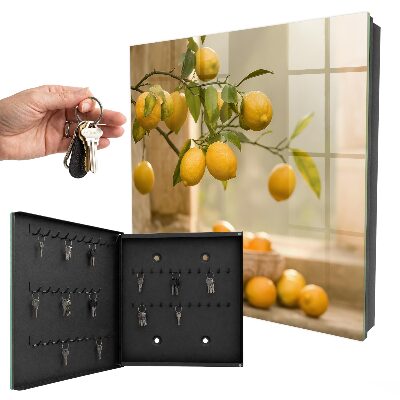 Ozdobná skříňka na klíče Kouzlo citronu