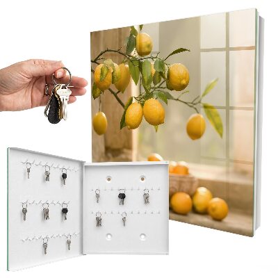 Ozdobná skříňka na klíče Kouzlo citronu