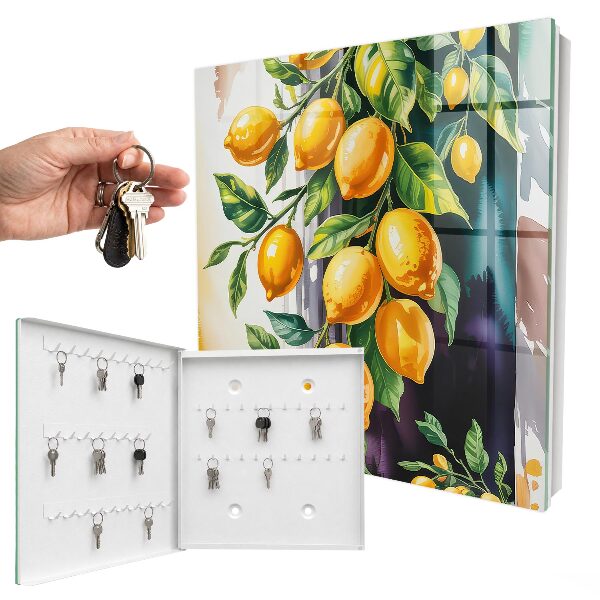 Ozdobná skříňka na klíče Kouzlo citronu