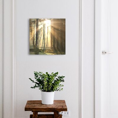 Nástěnná skříňka na klíče Světlo lesa