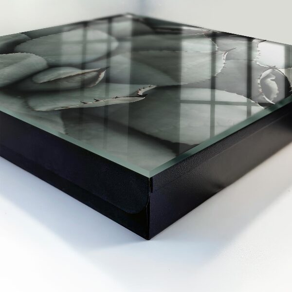 Nástěnná skříňka na klíče Elegance rostlin