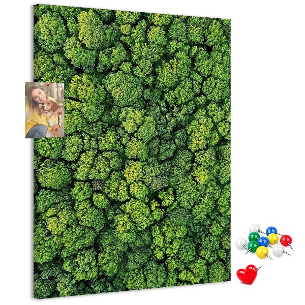 Nástěnka na zeď Zelený les z ptačí perspektivy