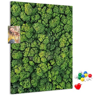 Nástěnka na zeď Zelený les z ptačí perspektivy