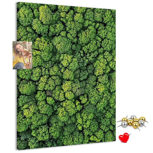 Nástěnka na zeď Zelený les z ptačí perspektivy