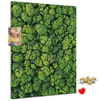 Nástěnka na zeď Zelený les z ptačí perspektivy