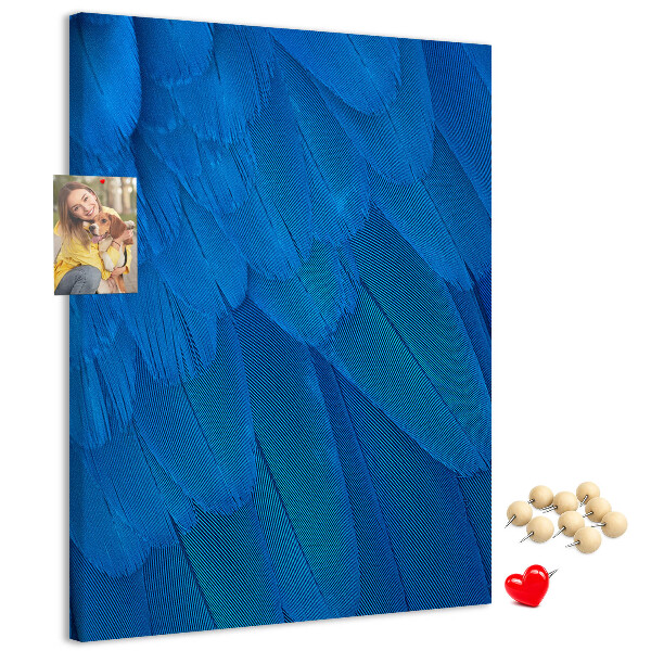 Korková tabule Modré peří v měkkém světle