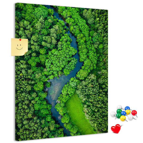 Nástěnka na zeď Zelená krajina s klikatou řekou