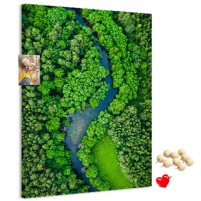 Nástěnka na zeď Zelená krajina s klikatou řekou