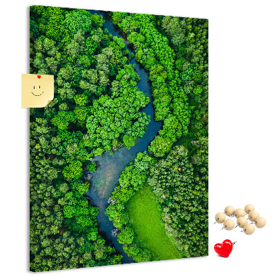 Nástěnka na zeď Zelená krajina s klikatou řekou